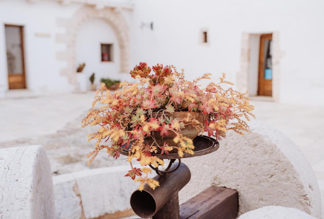 Masseria Casamassima Agriturismo Villa Ostuni Exteriör bild