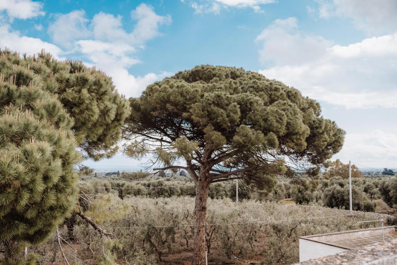 Masseria Casamassima Agriturismo Villa Ostuni Exteriör bild