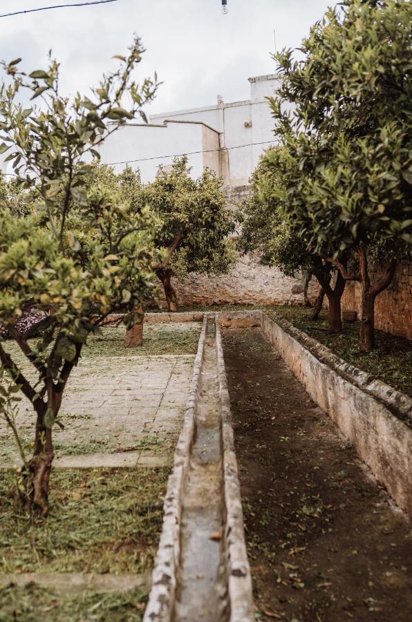 Masseria Casamassima Agriturismo Ostuni Exteriör bild