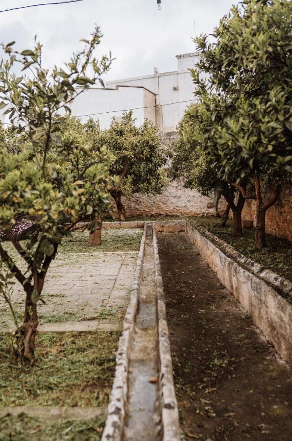 Masseria Casamassima Agriturismo Villa Ostuni Exteriör bild