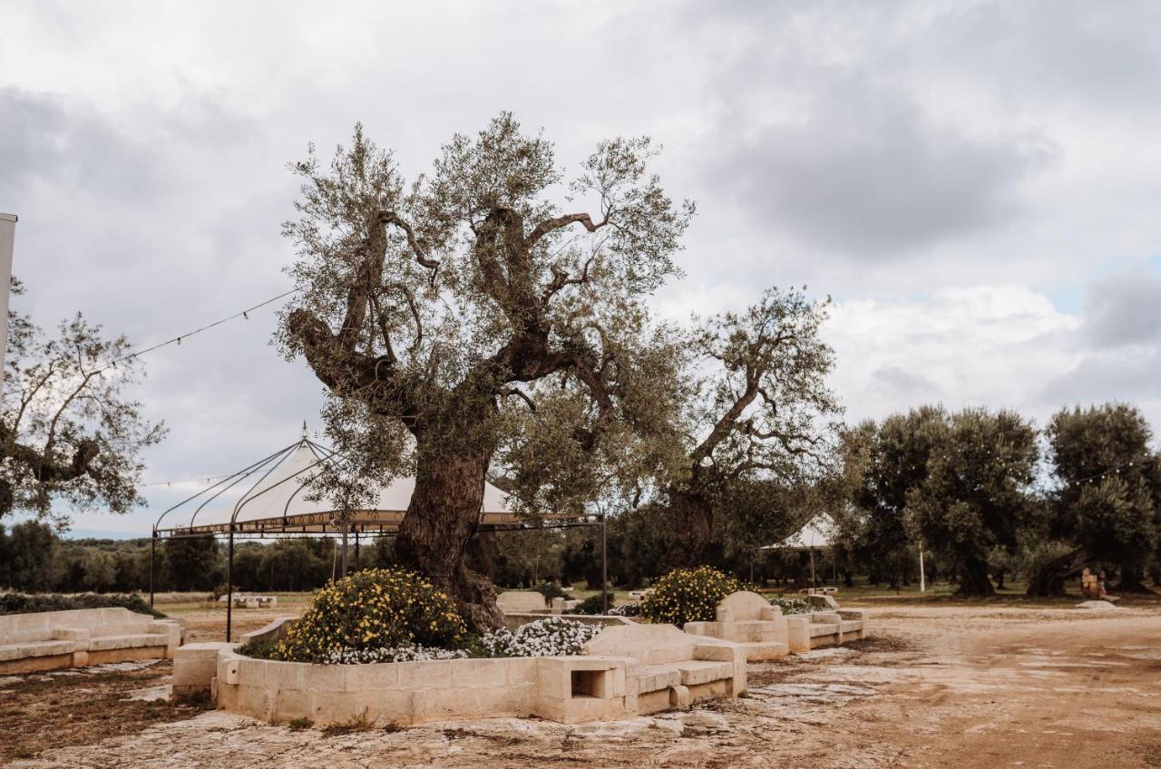Masseria Casamassima Agriturismo Villa Ostuni Exteriör bild