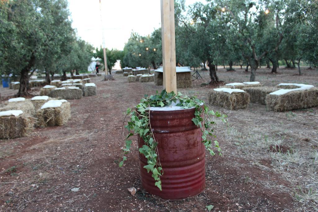 Masseria Casamassima Agriturismo Ostuni Exteriör bild