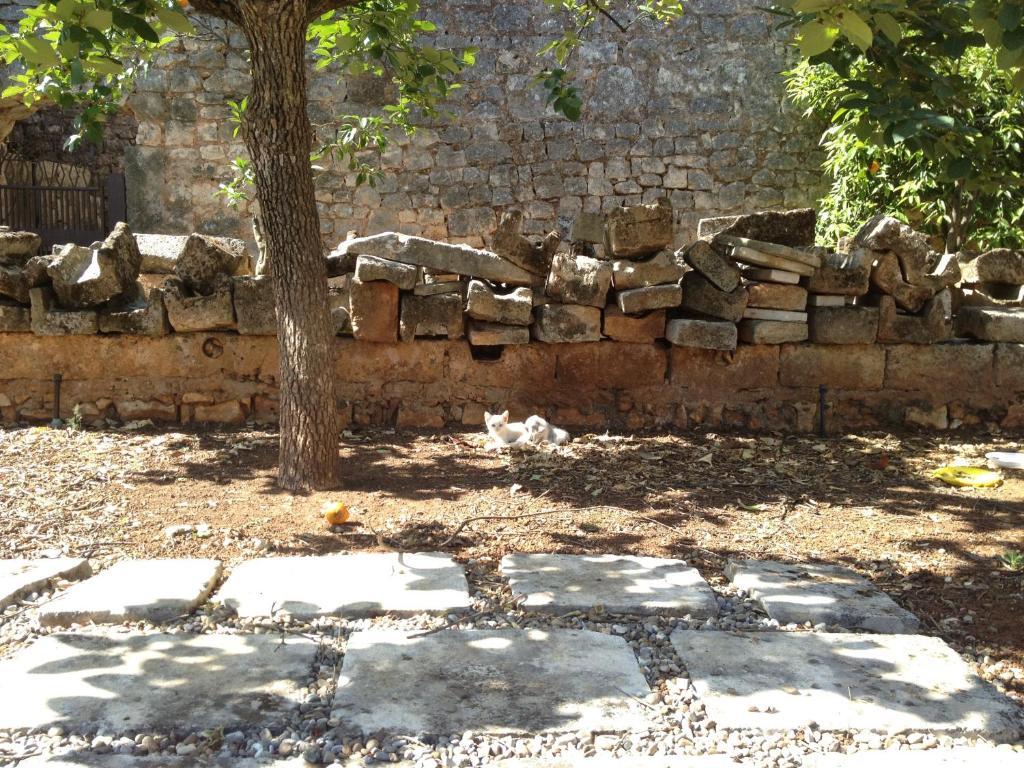 Masseria Casamassima Agriturismo Villa Ostuni Exteriör bild